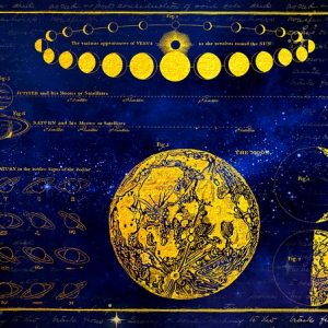 „ABGESAGT“ – Tobias Mayer Museum