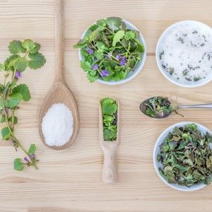 „ABGESAGT“ – Kräuterspaziergang