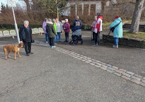 PXL_20260117_132919441