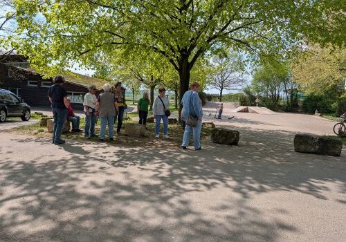 PXL_20260418_123611713