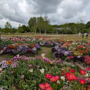 Rückblick: Lehr und Besichtigungsfahrt zur Landesgartenschau nach Ellwangen