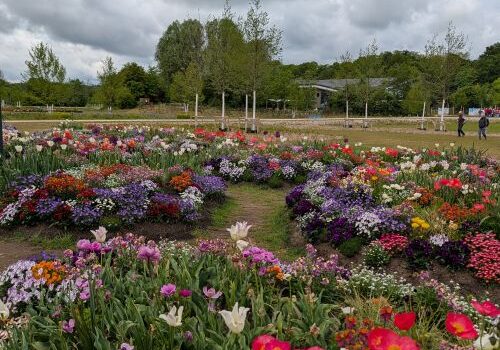 Rückblick: Lehr und Besichtigungsfahrt zur Landesgartenschau nach Ellwangen