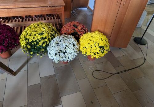 PXL_20261010_114722654